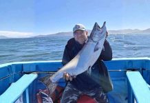 Entre salmones y conciencia ambiental: el boom de la pesca deportiva en Chiloé 