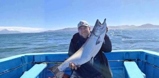Entre salmones y conciencia ambiental: el boom de la pesca deportiva en Chiloé 