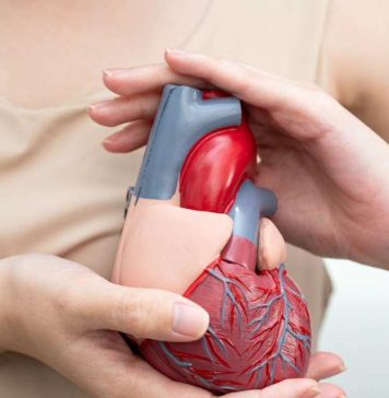 Fatiga, dolor abdominal o ahogo: las señales invisibles del infarto en mujeres Fatiga, dolor abdominal o ahogo: las señales invisibles del infarto en mujeres