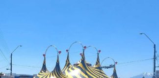 Llega a Talcahuano el espectáculo inclusivo del circo Los Trompitos