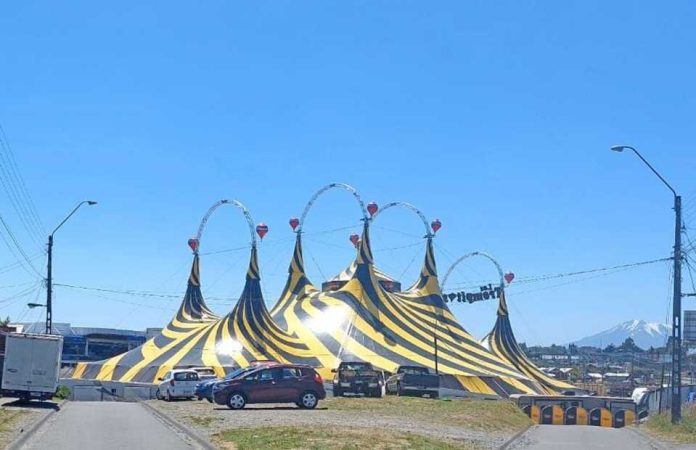 Llega a Talcahuano el espectáculo inclusivo del circo Los Trompitos Llega a Talcahuano el espectáculo inclusivo del circo Los Trompitos