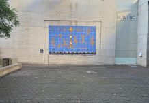 Museo de Artes Visuales