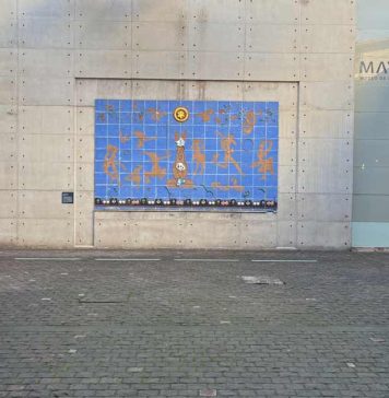 Museo de Artes Visuales