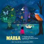 Puerto Cisnes se convierte en la Capital de la Luz