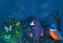 Puerto Cisnes se convierte en la Capital de la Luz