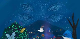 Puerto Cisnes se convierte en la Capital de la Luz