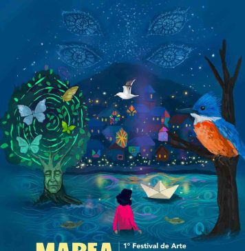 Puerto Cisnes se convierte en la Capital de la Luz