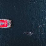 Sabores del fin del mundo: Magallanes se prepara para una cena legendaria sobre las aguas del Estrecho Sabores del fin del mundo: Magallanes se prepara para una cena legendaria sobre las aguas del Estrecho