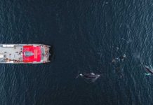 Sabores del fin del mundo: Magallanes se prepara para una cena legendaria sobre las aguas del Estrecho Sabores del fin del mundo: Magallanes se prepara para una cena legendaria sobre las aguas del Estrecho