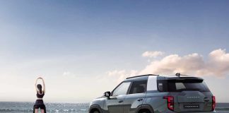 Claves para un road trip de Año Nuevo