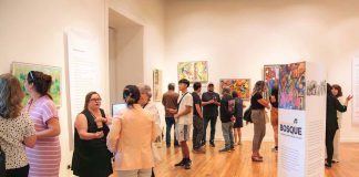 Colores de nuestro bosque