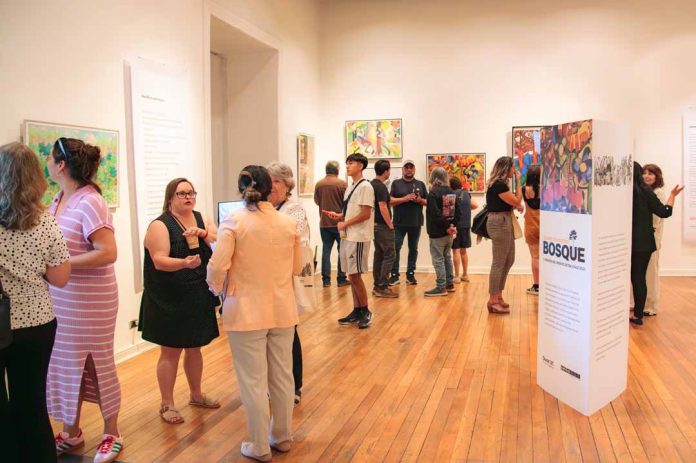 Colores de nuestro bosque