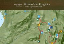Destino Panguipulli Sietelagos da el vamos al verano 2025-2026 Destino Panguipulli Sietelagos da el vamos al verano 2025-2026