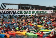 Festivales de naturaleza: más de 50 encuentros para celebrar la vida silvestre en Chile Festivales de naturaleza más de 50 en