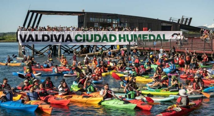 Festivales de naturaleza más de 50 encuentros para celebrar la vida silvestre en Chile Festivales de naturaleza más de 50 en