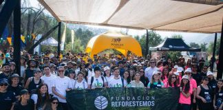 Más de 250 voluntarios hacen historia: Reforestemos impulsa la mayor jornada ciudadana para proteger los bosques nativos de la RM Más de 250 voluntarios hacen historia: Reforestemos impulsa la mayor jornada ciudadana para proteger los bosques nativos de la RM