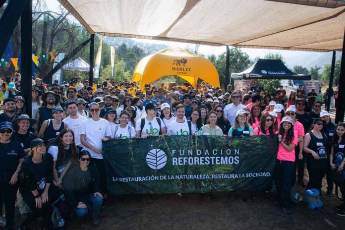 Más de 250 voluntarios hacen historia: Reforestemos impulsa la mayor jornada ciudadana para proteger los bosques nativos de la RM Más de 250 voluntarios hacen historia: Reforestemos impulsa la mayor jornada ciudadana para proteger los bosques nativos de la RM