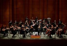 Navidad sinfónica: la música de EL CASCANUECES llega al TRM con la orquesta clásica del Maule