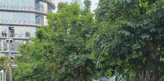 Sami, la ternura que conquistó la Corpogala 2025