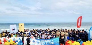 Vigilantes Ambientales