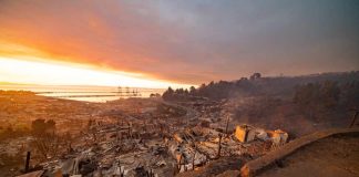 Cuando el paisaje arde