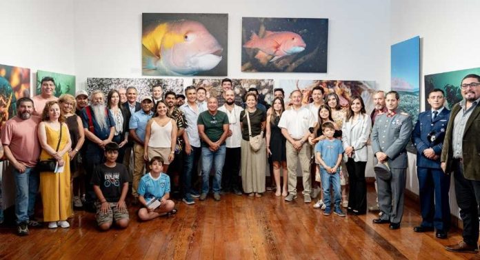 El mar de Iquique se revela bajo la fotografía y el documental en Sala de Arte Casa Collahuasi