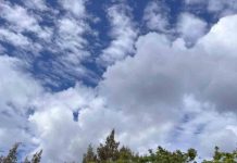 Landking LK5 llega a Isla de Pascua y marca un nuevo hito en la expansión de la marca en Chile