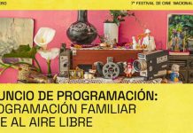 Ñuble Cine anuncia su programación de cine familiar y funciones en comunas