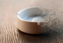 CENICEROS: RELIQUIAS DE UNA ERA QUE DESAPARECE