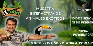 X-OTIA llega a Mall Sport con una propuesta educativa y familiar que invita a descubrir el mundo de los animales exóticos