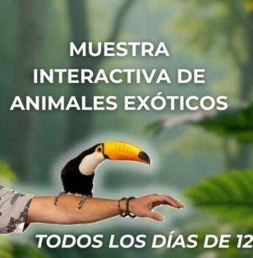 X-OTIA llega a Mall Sport con una propuesta educativa y familiar que invita a descubrir el mundo de los animales exóticos