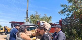 Hatchbacks: El segmento favorito de los más jóvenes y la puerta de entrada al primer auto