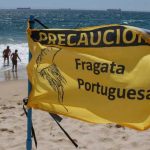 Fragata portuguesa en Valparaíso: ¿Qué hacer en caso de contacto o picadura? Fragata portuguesa en Valparaíso: ¿Qué hacer en caso de contacto o picadura?