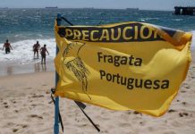 Fragata portuguesa en Valparaíso: ¿Qué hacer en caso de contacto o picadura? Fragata portuguesa en Valparaíso: ¿Qué hacer en caso de contacto o picadura?
