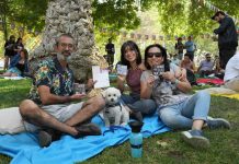 IV FERIA DEL LIBRO INFANTIL Y JUVENIL DE SANTIAGO EN 100 PALABRAS EL ÚLTIMO GRAN PANORAMA PARA DESPEDIR LAS VACACIONES EN FAMILIA