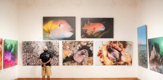 “Iquique, Mar de Campeones” supera las 3 mil 700 visitas en su primer mes en Sala de Arte Casa Collahuasi