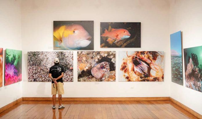 “Iquique, Mar de Campeones” supera las 3 mil 700 visitas en su primer mes en Sala de Arte Casa Collahuasi