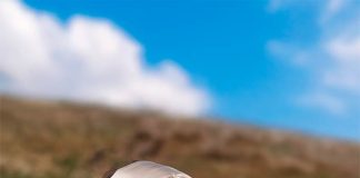 Tendencia en bienestar: la higiene del sueño se consolida y una marca chilena impulsa seda con iones de plata