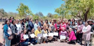 Programa Mujeres Jefas de Hogar del SernamEG abre sus postulaciones 2026