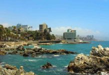 Viña del Mar se consolida como capital musical del verano y dispara el interés de viajeros internacionales