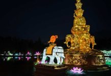 Celebra el Día de Las Linternas y el cierre del Año Nuevo Chino en el Tianfu Festival