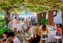 Fiesta de la Vendimia 2026 en Colchagua: eventos temáticos, fiestas para solteros y una proyección de 150 mil visitantes