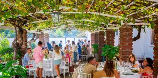 Fiesta de la Vendimia 2026 en Colchagua: eventos temáticos, fiestas para solteros y una proyección de 150 mil visitantes