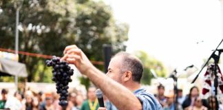 Lo mejor del vino en Plaza Ñuñoa: Santa Vendimia invita a disfrutar con cultura, música y degustaciones