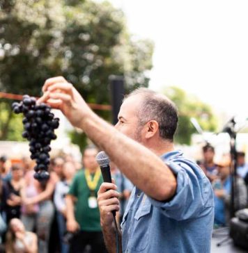 Lo mejor del vino en Plaza Ñuñoa: Santa Vendimia invita a disfrutar con cultura, música y degustaciones