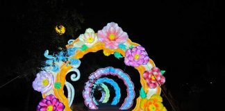 Tianfu Festival: el panorama nocturno que muchos están visitando por segunda vez