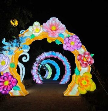 Tianfu Festival: el panorama nocturno que muchos están visitando por segunda vez