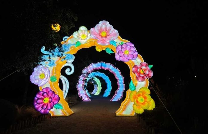 Tianfu Festival: el panorama nocturno que muchos están visitando por segunda vez