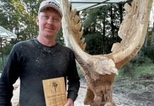 Arte y conservación se encuentran en concurso de esculturas de madera en Huilo Huilo