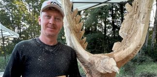 Arte y conservación se encuentran en concurso de esculturas de madera en Huilo Huilo